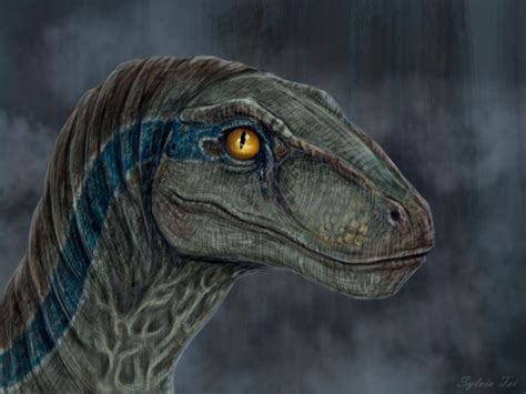 Raptor Blue By Sylvia Tei Dinosaur Art Jurassic World Dinosaurs Raptor