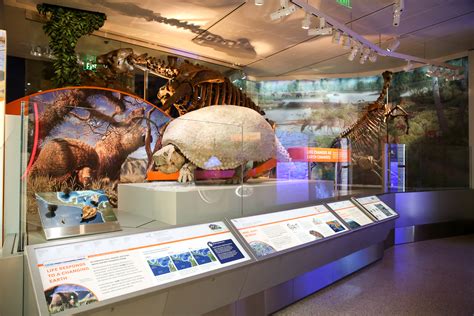 Dinosaurs Come To Life In The Museum Of Natural Historys New Hall Of