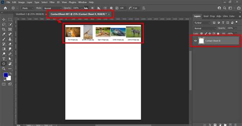 How Do I Print Multiple Images On One Page In Photoshop