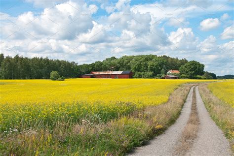 Country Road In Yellow Meadow Nature Stock Photos Creative Market