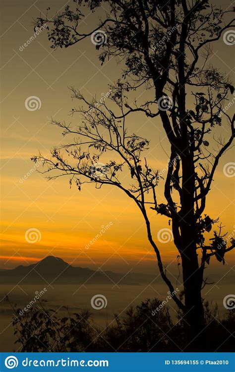 Silhouette Of Trees And Beautiful Sky Sunrise Mountain Layer In