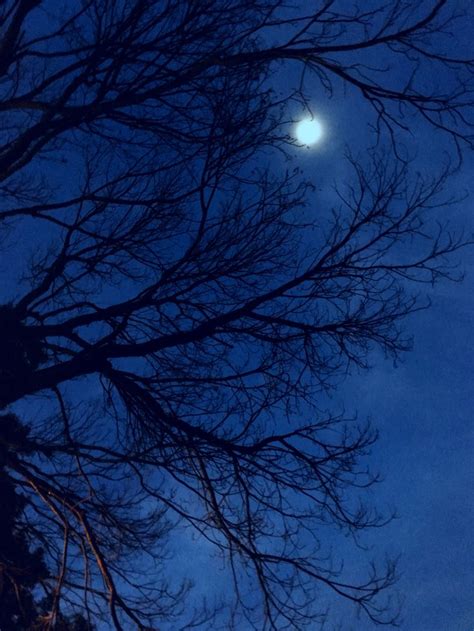 Moon Light At Autumn Night Night Landscape Blue Aesthetic Dark Dark