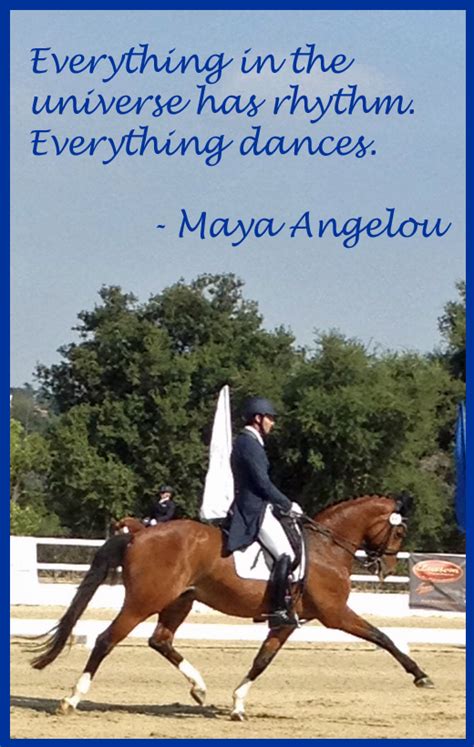 Discover and share dressage quotes. Dressage Quotes. QuotesGram