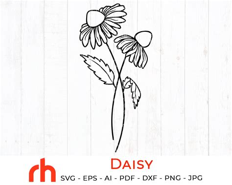 Daisy Svg Birth Month Flower Svg April Birth Flower Svg Chamomile