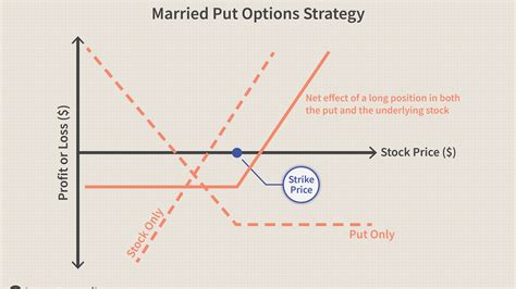 Hedging Strategies Using Options Trading Company Profile