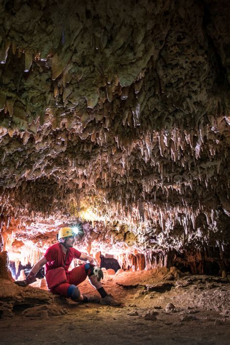 Bonaire Caves And Karst Nature Reserve Natural History