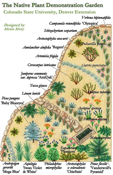 Will these 20 more great xeriscape plants for colorado grow at. Xeriscape Landscaping Ideas Colorado - Google Search ...