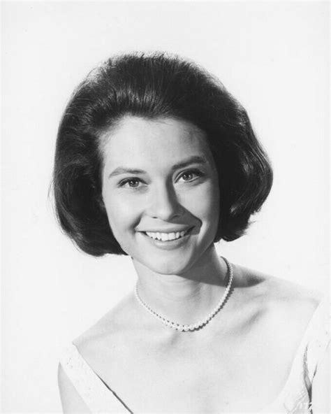 Beautiful Photos Of American Actress Diane Baker In The S Vintage Everyday