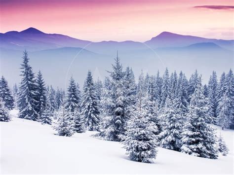 Fantastic Evening Winter Landscape Snow Sunset Christmas Scene Print