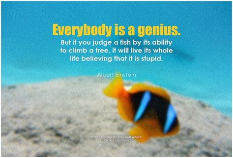 Albert Einstein Everybody Is A Genius But If You Judge A Fish By Its