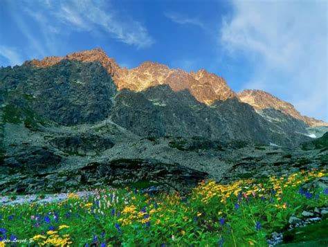 Zdjęcia Dolina Wielicka Wysokie Tatry Widok z Ogrodów Wahlenberga