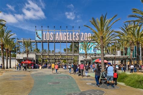 11 Zoos To Visit In Southern California