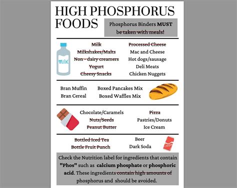 Dialysis Phosphorus Education Nutrition Education Etsy