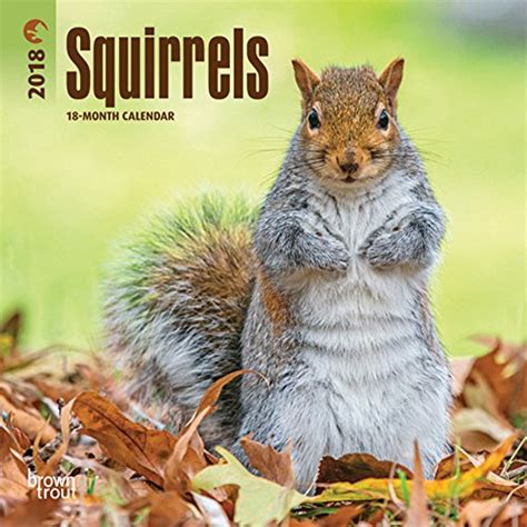 Squirrel Calendars