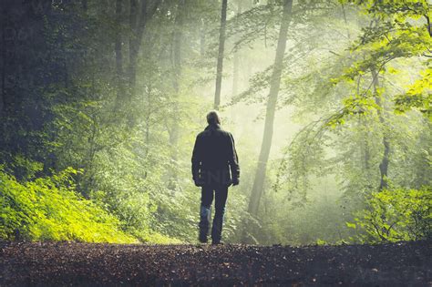 Man Walking On Forest Track In Morning Light Stock Photo