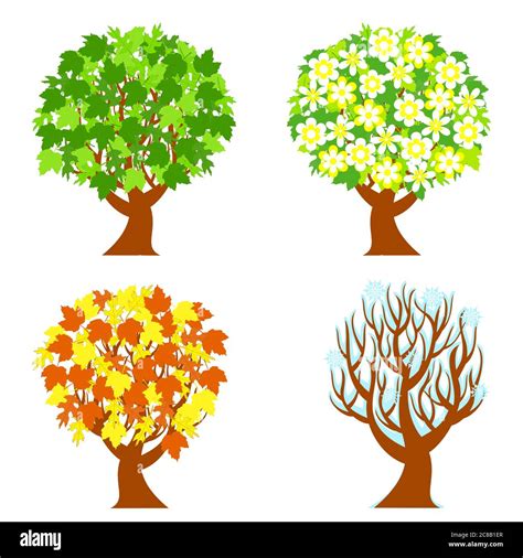 Vector Illustration Of The Four Seasons Trees Isolated On White