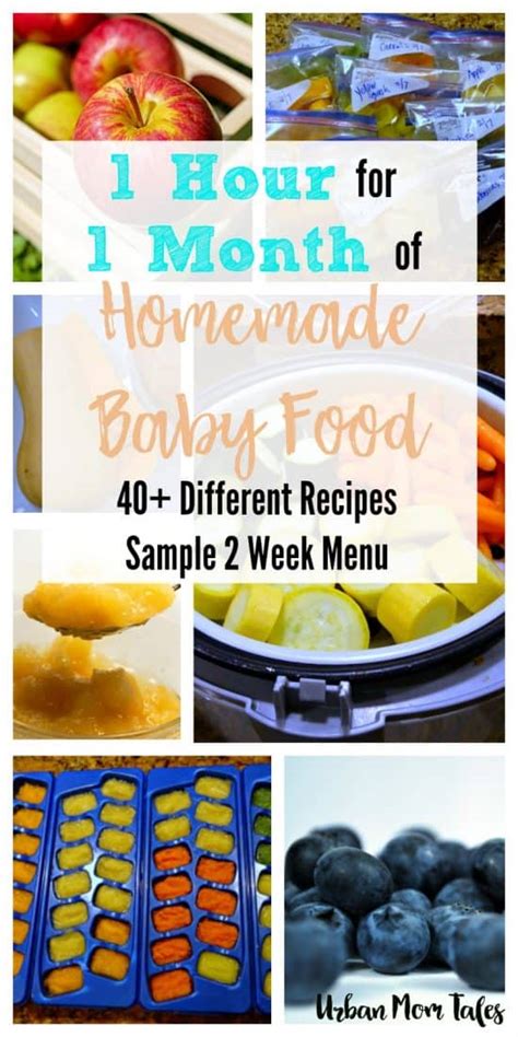 Updated on june 6, 2021. One Hour for One Month's Worth of Homemade Baby Food- with ...