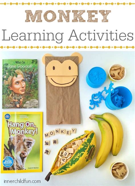 Monkey Learning Activities Inner Child Fun