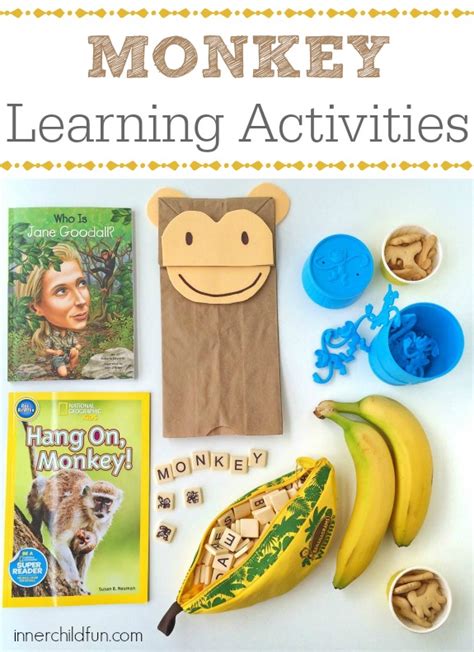 Features of the life cycle. Monkey Learning Activities! - Inner Child Fun