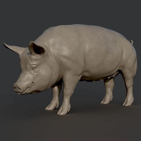 Pig Sculpture 3d Printable Model Cgtrader