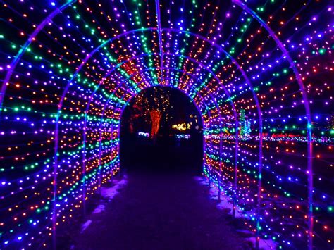 Lists and places related to chicago botanic garden. Blossoms of Light at the Denver Botanic Gardens in Denver ...