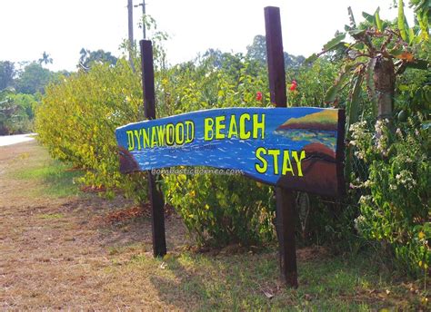Treebones is a premier glamping resort. Dynawood Beach Stay, Tree House Resort Sematan Sarawak ...