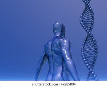 Dna Strands Human Body On Blue Stock Illustration Shutterstock