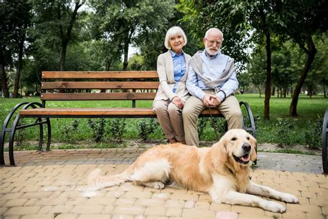 7 Best Pets For Seniors Dogs Goldfish And More