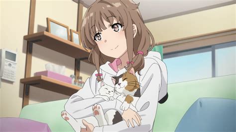 Rascal Does Not Dream Of Bunny Girl Senpai Is A Show
