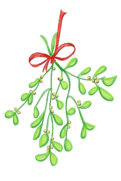 How To Draw A Mistletoe