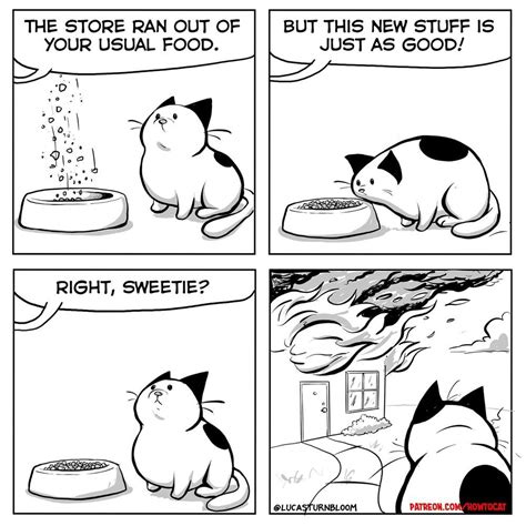 19 Comics That Perfectly Capture The Absurdity Of Cat Logic Cat