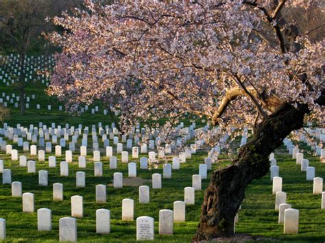 Arlington National Cemetery The Full Story Hollywood Progressive