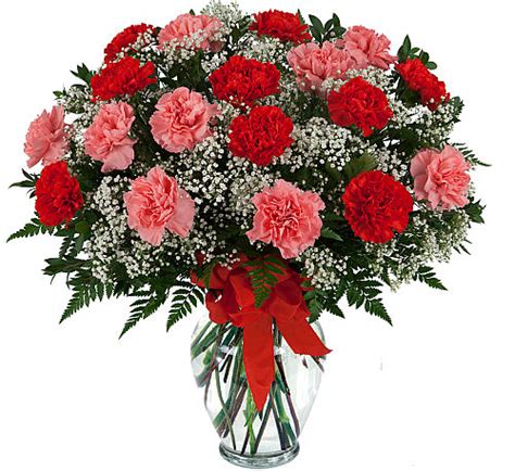 Beautiful Carnations Va22aa Canada Flowers