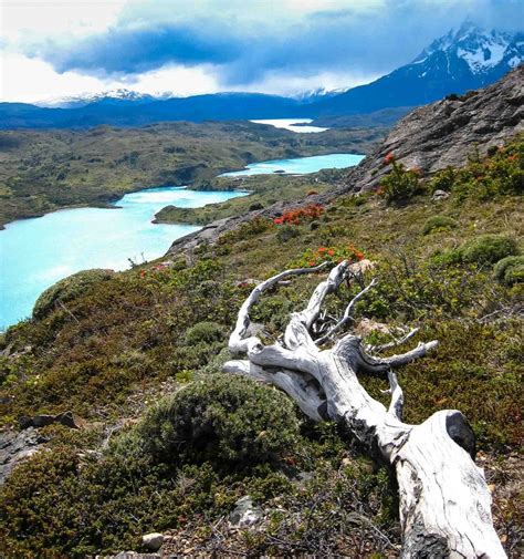 Making The Most Of A Chilean Patagonia Visit