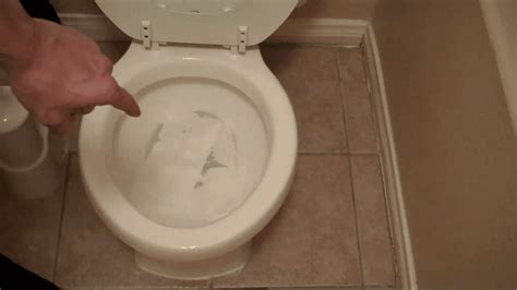 Toilet Water Splashback Disease Spruce Toilets