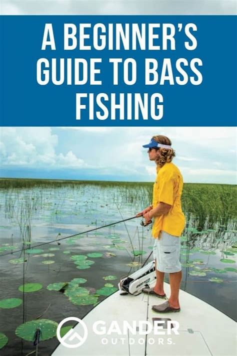 A Beginners Guide To Bass Fishing Gander Rv And Outdoors Fall Bass