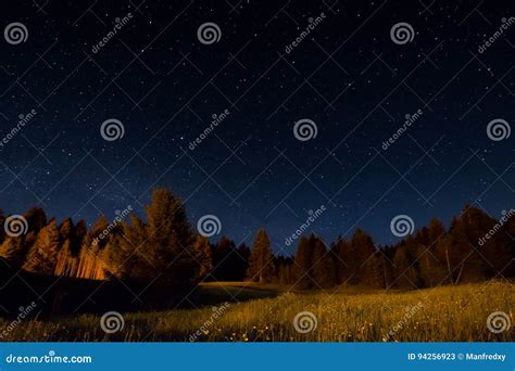 Night Landscape Under Starlight Stock Image Image Of Starlight