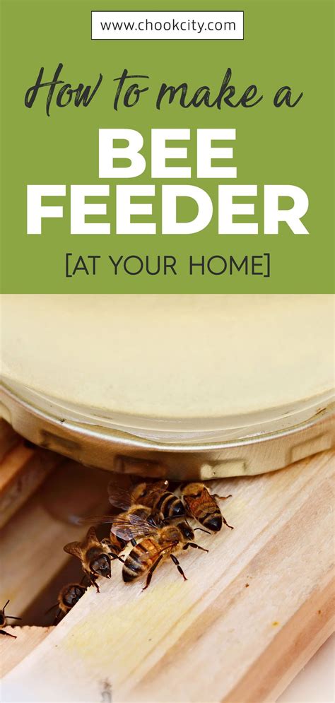You Can Make A Bee Feeder Using Readily Available Materials At Home