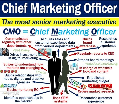 What Is A Chief Marketing Officer Cmo Definition And Examples
