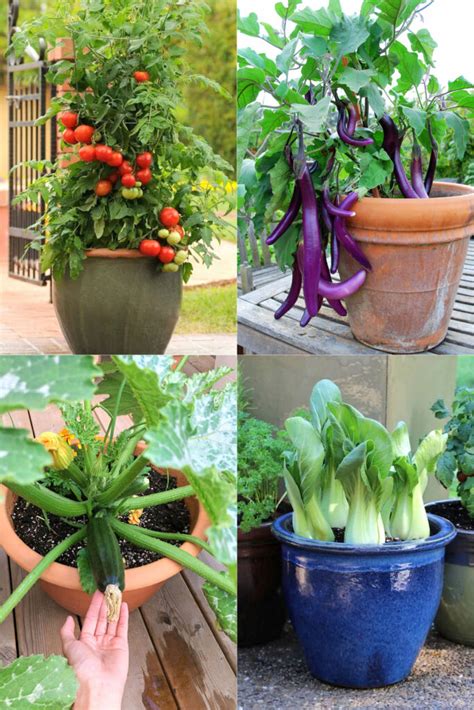 20 Best Vegetables For Container Gardening A Piece Of Rainbow