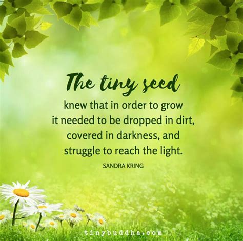 Seed Quotes Wisdom Quotes Words Of Wisdom Life Quotes Nature Quotes
