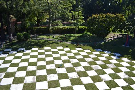 Indoor gardening caters to a lot of people, from the inexperienced up to the experts. Free Images : landscape, tree, grass, plant, lawn, walkway ...