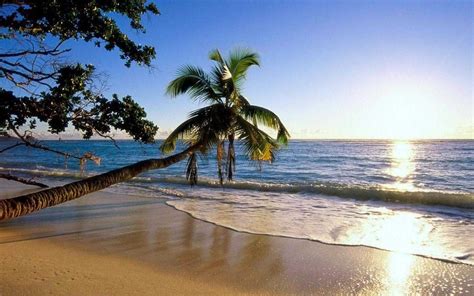 Choose from hundreds of free beach backgrounds. Beach Wallpapers - Top Free Beach Backgrounds ...