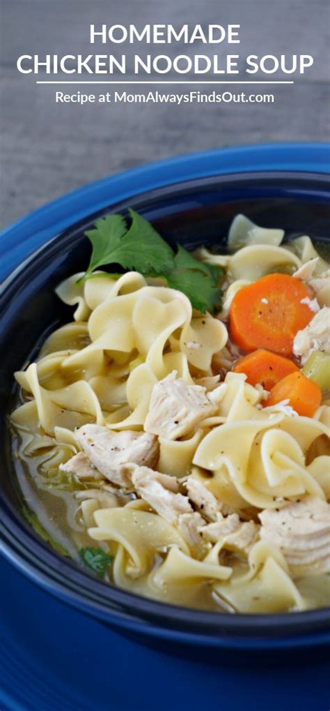 Homemade Chicken Noodle Soup Recipe Easy To Make Recipe Chicken
