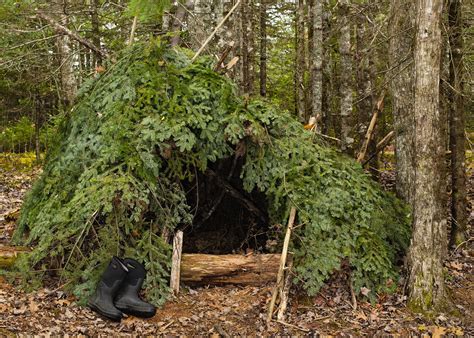 How To Build An Emergency Shelter In The Woods Safety Hunters
