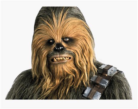 Picture Royalty Free Stock Chewbacca Vector Wookie Luke Skywalker And