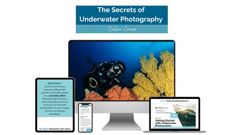 📸the Secrets Of Underwater Photography Oceansnaps