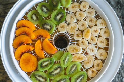 Step By Step Guide On How To Dehydrate Fruit The Easy Way