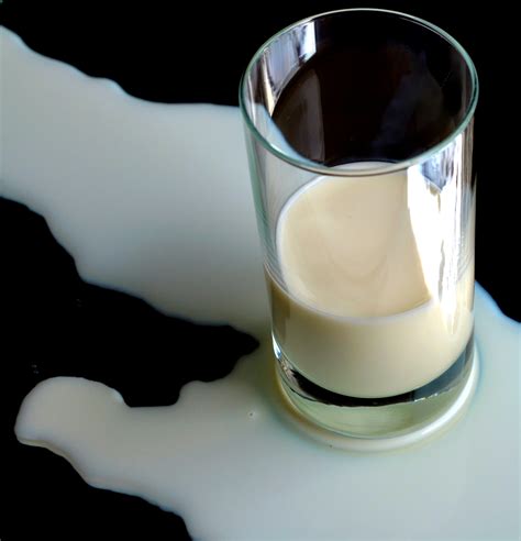 Free Images White Glass Food Drink Milk Espresso Dessert
