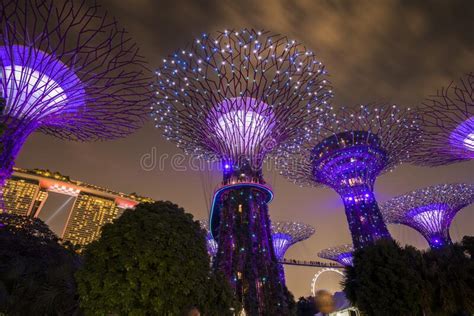 Gardens By The Bay A Nature Park In Singapore City Editorial Stock